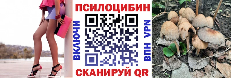 Псилоцибиновые грибы Magic Shrooms  Власиха 