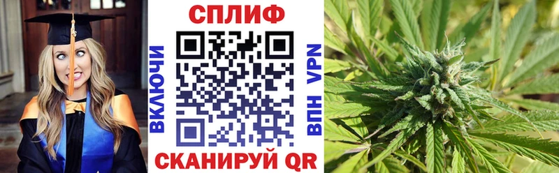 закладка  Власиха  Бошки Шишки тримм 